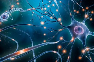 neurons - Why Does Ketamine Work For Depression?
